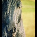 ���� �������, ��, �������� - ��������� 15 ������� 2012 � ������ �������...�