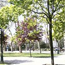 ���� ����������, ����, 75 ��� - ��������� 17 ������ 2012 � ������ �����-5�