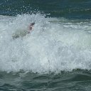 ���� �������, ���������, 46 ��� - ��������� 20 �������� 2011 � ������ �������