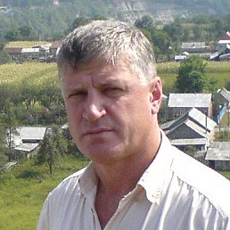 2006�.