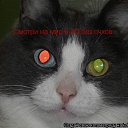 ���� �������, �������, 59 ��� - ��������� 18 ��� 2011 � ������ �������