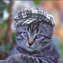 ���� Viktor, �����, 54 ���� - ��������� 14 ������� 2012