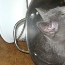 ���� �����, �������, 56 ��� - ��������� 29 ������� 2012 � ������ ������� �������