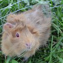  ***@@***,  -  2  2013    