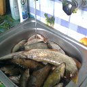 ���� �������, �������, 66 ��� - ��������� 21 ���� 2012 � ������ �������