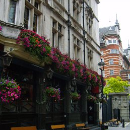 ���� ����, ������������, 42 ���� - ��������� 7 ������� 2010