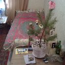 ���� ������, ������-��-����, 39 ��� - ��������� 2 ������� 2011 � ������ �RoadKing�