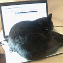 ���� �����, �����-���������, 62 ���� - ��������� 17 ��� 2012 � ������ ���� ����������