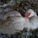 ���� ������, ������, 46 ��� - ��������� 19 ������ 2012 � ������ ���� ����������