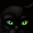  Natalia, -, 36  -  11  2010   Black Cat