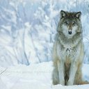 ���� "@����", �����-���������, 25 ��� - ��������� 26 ��� 2010 � ������ �����Ȼ