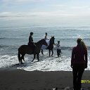 ���� ��������, �������, 66 ��� - ��������� 17 �������� 2011 � ������ �������