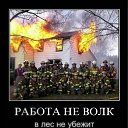  , , 85  -  8  2011   PetLove