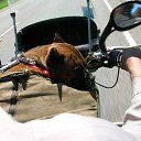 ���� �������, ������������, 59 ��� - ��������� 8 ������ 2011 � ������ ���� ����������