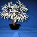 ���� ����, �����������, 63 ���� - ��������� 18 ������ 2010 � ������ ���� ���������