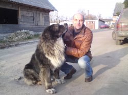 ������, ������