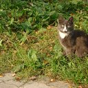 ���� Sergej, ��������, 67 ��� - ��������� 6 ����� 2012 � ������ ���� ����������