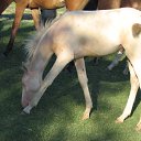 ���� �����, �����������, 48 ��� - ��������� 15 ������ 2011 � ������ ���������