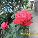 � ������� ����.