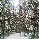 ���� �����, �����-���������, 53 ���� - ��������� 6 ������� 2010