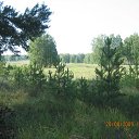  Jkmuf, , 58  -  21  2009   