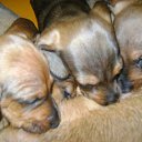 ���� ���7, ���������, 73 ���� - ��������� 2 ������ 2011 � ������ ���� ����������