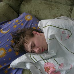 ���� �������, ���������, 43 ���� - ��������� 29 �������� 2011