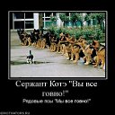 ���� ����, ������, 48 ��� - ��������� 8 ���� 2011 � ������ ����