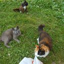 ��, � ��� ��� �������? �� ������� ����λ