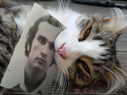 ���� Romeo, �������, 68 ��� - ��������� 16 ������ 2013