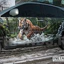 ���� ��@���, ��������� - ��������� 11 ����� 2012 � ������ ����������� �� ����.......�