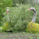 ���� ������, ���������, 62 ���� - ��������� 12 ���� 2012 � ������ �12 �����