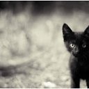 ���� ����, ������ ��������, 38 ��� - ��������� 27 ������� 2011