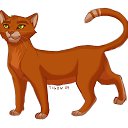 ���� ������, �����, 27 ��� - ��������� 14 ������ 2012 � ������ ���� ����������