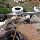 ���� �����, ������������ - ��������� 23 �������� 2012 � ������ ����������