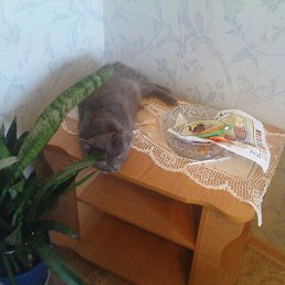 ���� �������, ������� - ��������� 11 ������ 2010