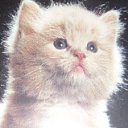 ���� ������, ����������� - ��������� 27 ����� 2012