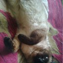 ���� ����, �����, 28 ��� - ��������� 17 ���� 2011 � ������ �������