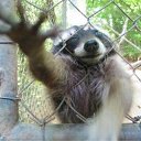 ���� �����-��, ����, 45 ��� - ��������� 20 ������ 2010 � ������ ���� ����� ��, ����� !�