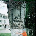 ���� ��������� �����, ����-������, 22 ���� - ��������� 15 ���� 2013