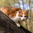  ,  -  3  2010    ,, ۻ