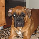 ���� �����, �������, 47 ��� - ��������� 26 �������� 2011