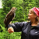 ���� �����, ���������, 49 ��� - ��������� 18 ���� 2012