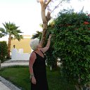 ���� ����, ���, 69 ��� - ��������� 20 ��� 2013 � ������ ���� ����������