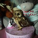 ���� �������, ���������, 56 ��� - ��������� 2 ������� 2013 � ������ ������ ��������