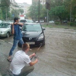 ������, �����������, 42 ����