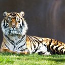 ���� ������, ����������, 42 ���� - ��������� 6 ������ 2011 � ������ ���� ����������