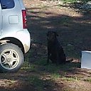 ���� Aleksey, ������-��-����, 54 ���� - ��������� 4 ������� 2012 � ������ ���� ����������