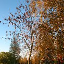 2008 ��� �� ������� ������ � ������