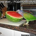 ���� ������ ��������, ������ - ��������� 9 ����� 2013 � ������ ���������